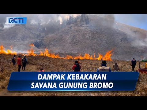 Dampak Kebakaran, Kawasan Gunung Bromo Ditutup Sementara - SIP 03/09