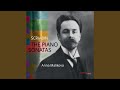 Miniature de la vidéo de la chanson Piano Sonata No. 1 In F Minor, Op. 6. Ii. [Andante]