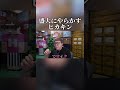 結婚式で盛大にやらかすHIKAKIN #ヒカキン#セイキン#shorts