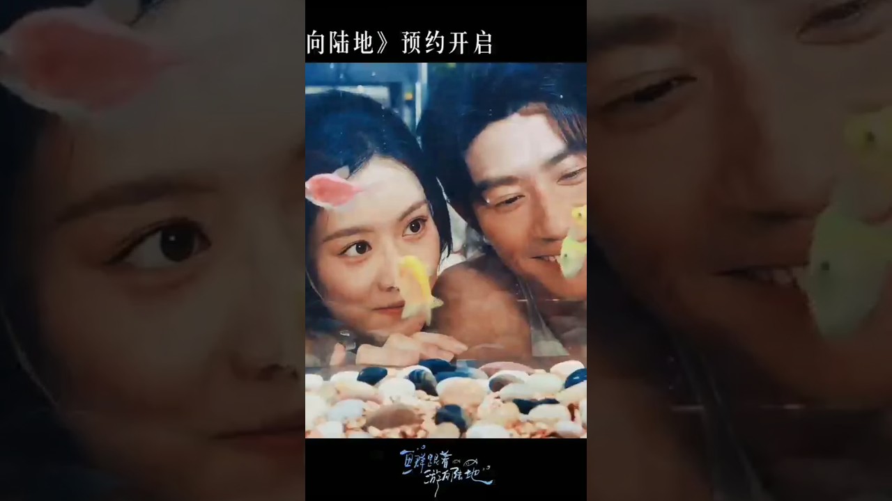 水族馆的浪漫邂逅：赵夕汐与Heize的奇幻爱恋
