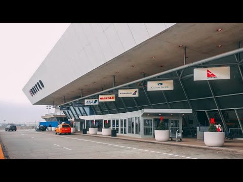 Video: Bandara JFK Untuk Membuka Terminal Hanya Hewan Lengkap Dengan Resor Anjing Mewah