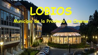 338 "LOBIOS"-Ourense-Galiza-ORIGINAL-António Teixeira-Cabeceiras de Basto-Coletânea-(hino a) imagens