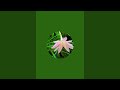 TheRoots🌱 is live!