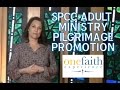 St Louis Adult Pilgrimage Promotion
