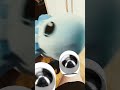 I needed the toe censors #funny