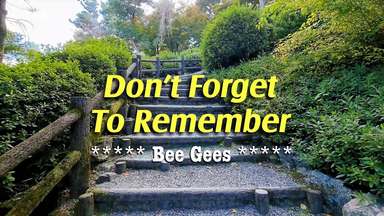 DON'T FORGET TO REMEMBER - (Karaoke Version) - in the style of Bee Gees DON'T FORGET TO REMEMBER - (Karaoke Version) - in the style of Bee Gees