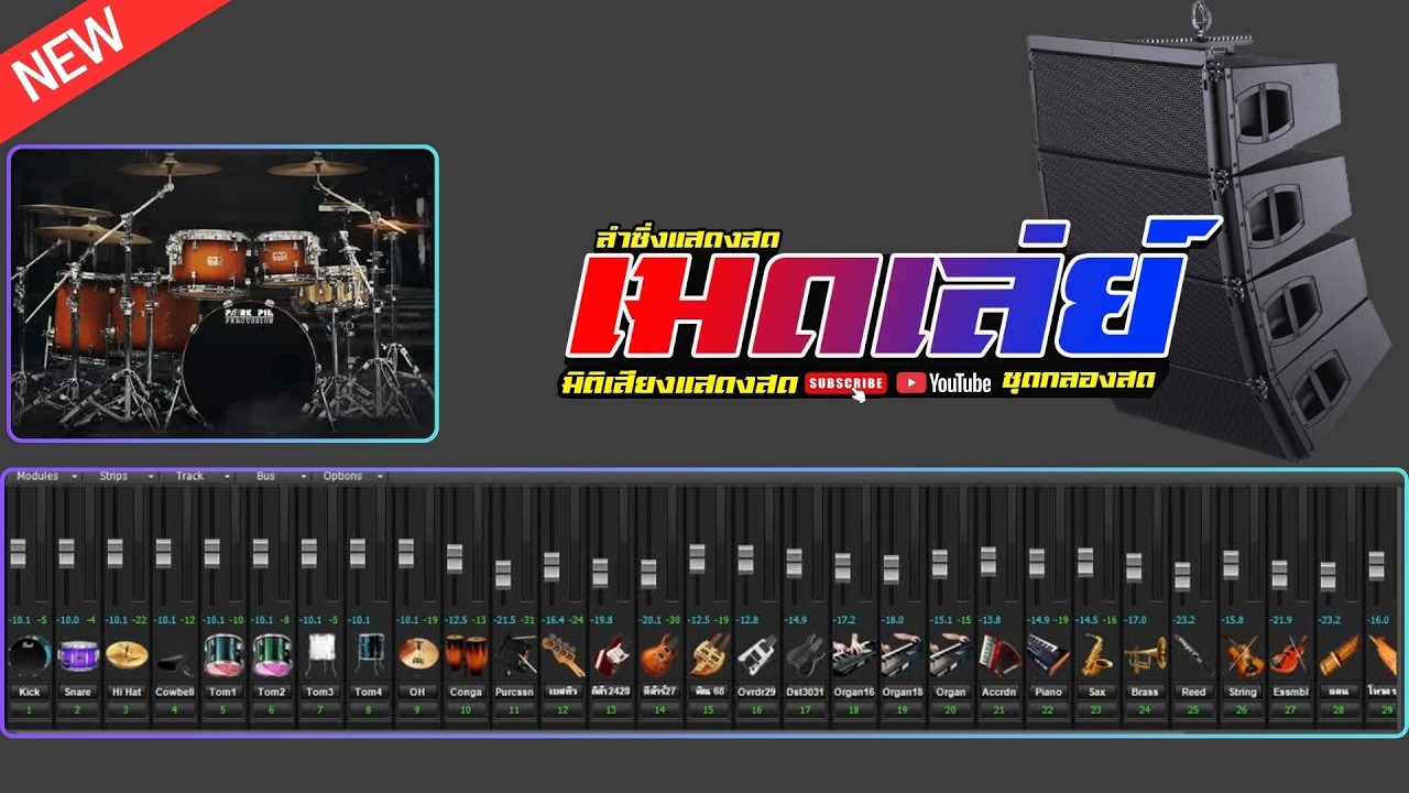 เมดเล่ย์ ลำซิ่ง COVER PROJECTS SONAR แสดงสด [ 2026 NEW ]