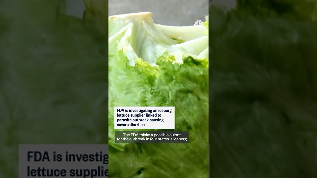 Iceberg lettuce supplier eyed in parasite outbreak Iceberg lettuce supplier eyed in parasite outbreak