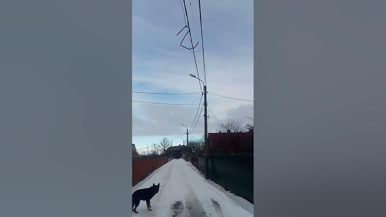 повесился - YouTube
