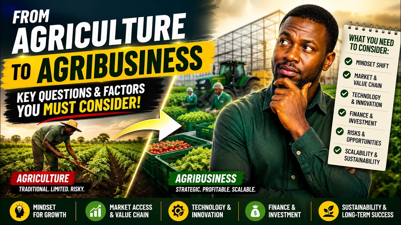 Still from Why You Must SHIFT from AGRICULTURE to AGRIBUSINESS Now | AFRICA FARMING