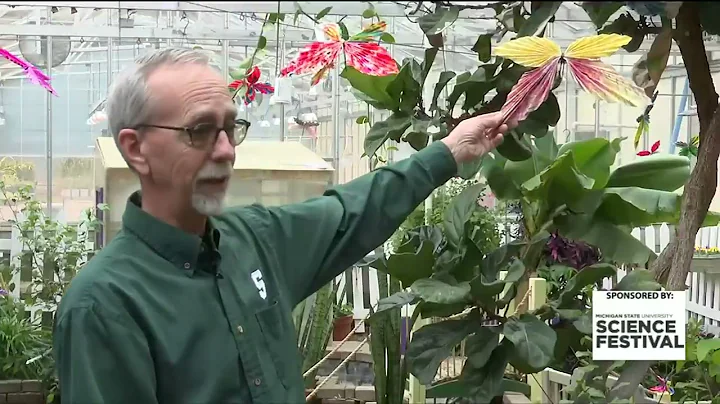 MSU Science Festival Butterflies in the Garden