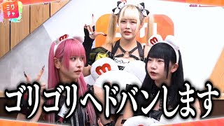 バチバチアイドルのかわいい一面【シュレーディンガーの犬】