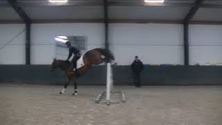 3yo Glagow vh Merelsnest Mare ~ First jumps under saddle