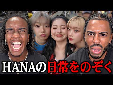 HANA in Seoul, Taipei, LA -Vlog- 【海外の反応】