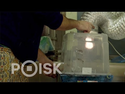 Видео: GoTape - производство кассет в Петербурге