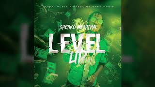 Shenko Nashinal - Level Up (Official Audio)