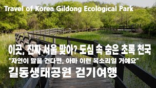 길동생태공원 영상