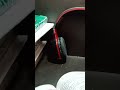 study zone