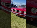 Valley cruiser’s