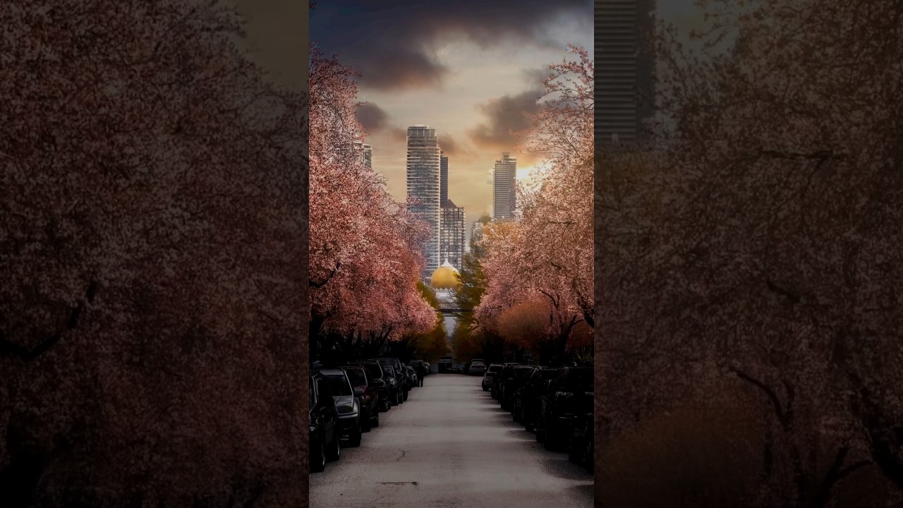 Sakura gold 🌸🌟