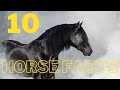 10 Quirky Facts You Didn't Know About Horses