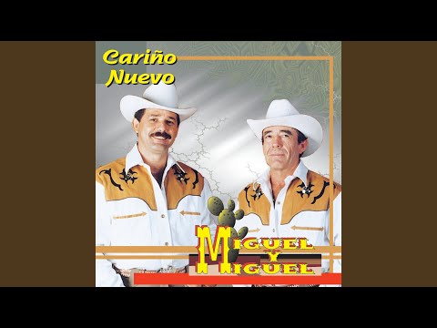 Ver video de Cariño nuevo