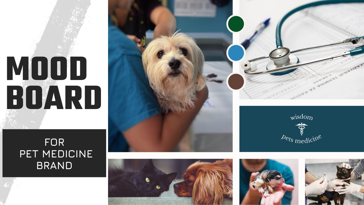 How To Create a Mood Board for Brand Using Canva - YouTube