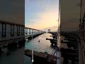 Pamban bridge Rameshwaram Tamilnadu #dji #osmopocket3 #explore #vlog #reels