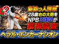【ついに来るか...！？】ジャイアンツから自由契約となった『ヘラル・エンカーナシオン』にＮＰＢ３球団が興味と報道！ＭＬＢでの実績はそこまで多くないが２８歳右の大砲候補は途中補強候補として大注目に！？