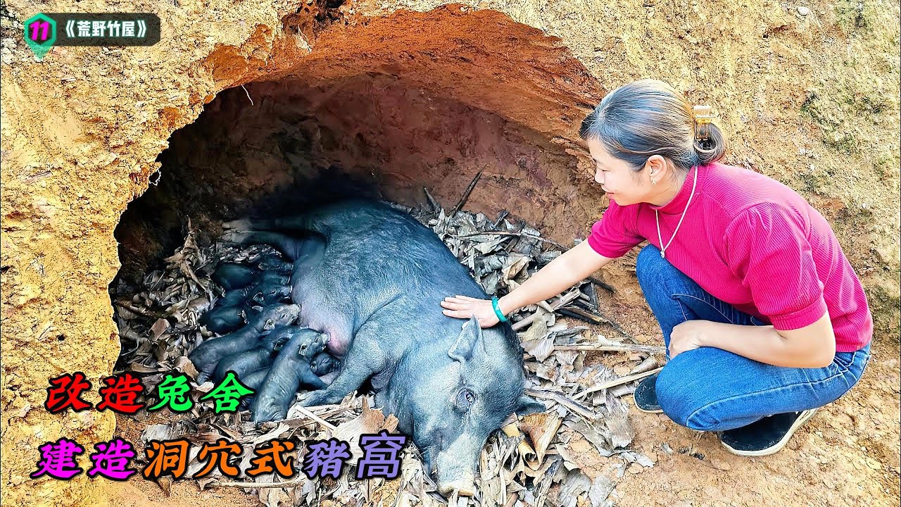 改造兔舍，建造洞穴式豬窩《荒野竹屋》11