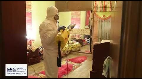 Sdc Services Cleaning & Pest control  Sanitizing , sterilizing , deep cleaning