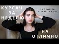 Как написать курсовую работу? | Моя история, ошибки, советы студентам