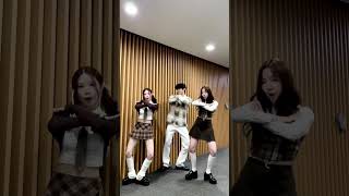 국민 햄씨 #ZEROBASEONE 성한빈님과 함께 #WinterBloom ❄️ #Shorts