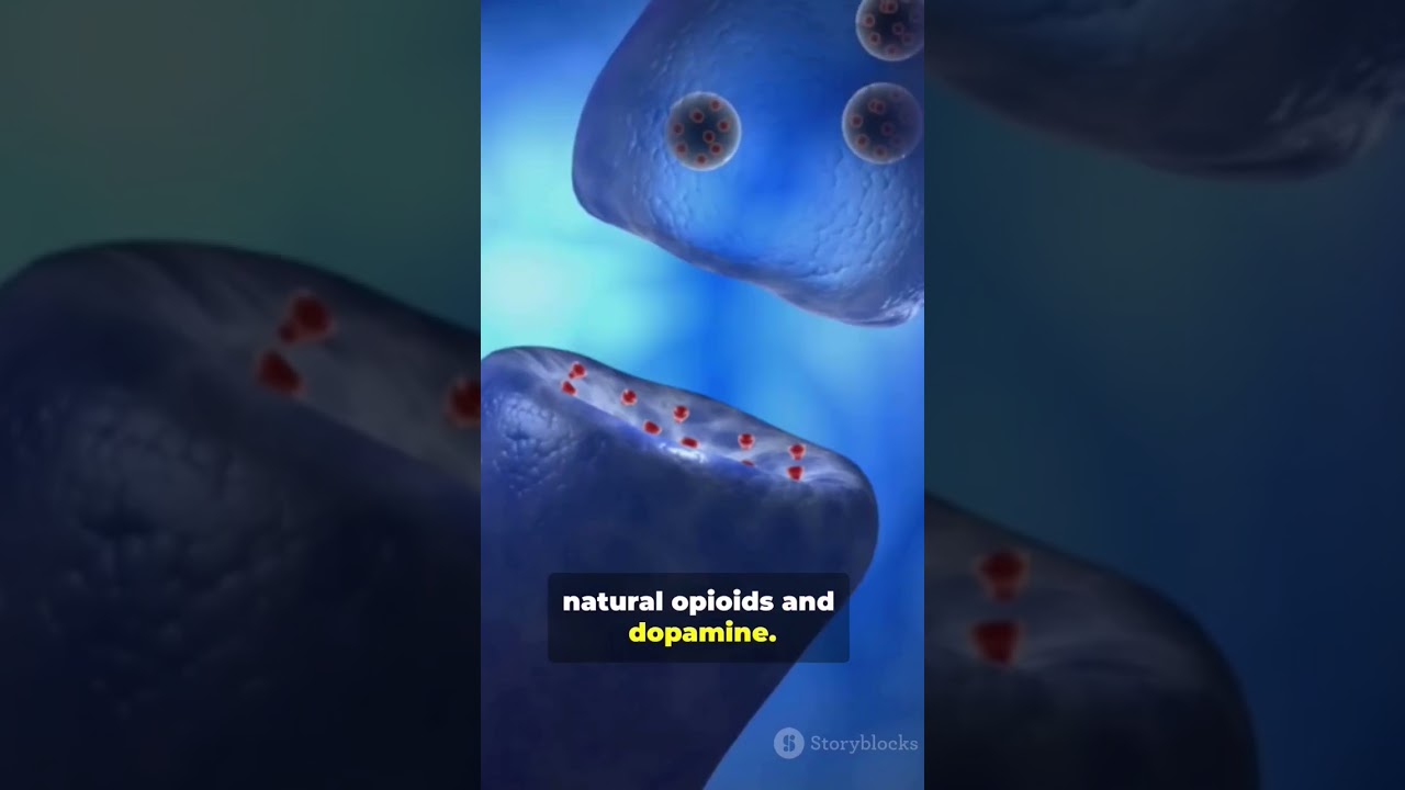 The Placebo Effect — How Belief Literally Changes Your Brain