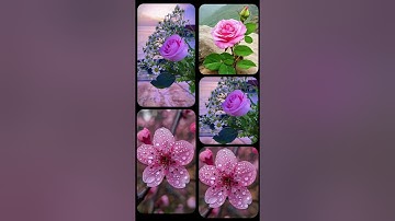اذكار الصباح #everyone #اكسبلور #fsyb #election #fyw #electiondate #foryou #flowers #flowercat