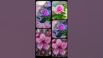 اذكار الصباح #everyone #اكسبلور #fsyb #election #fyw #electiondate #foryou #flowers #flowercat
