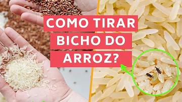 Como acabar com caruncho do arroz?