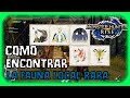 Donde Enconrtrar la Fauna Local Rara - MONSTER HUNTER RISE - GUIA TUTORIAL