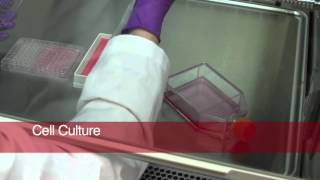 Foodborne Illness Outbreak Investigation: Behind the Scences