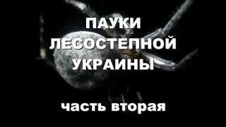 Олег Пожаров. Пауки лесостепной Украины. Ч. 2. - Энтомология, арахнология.