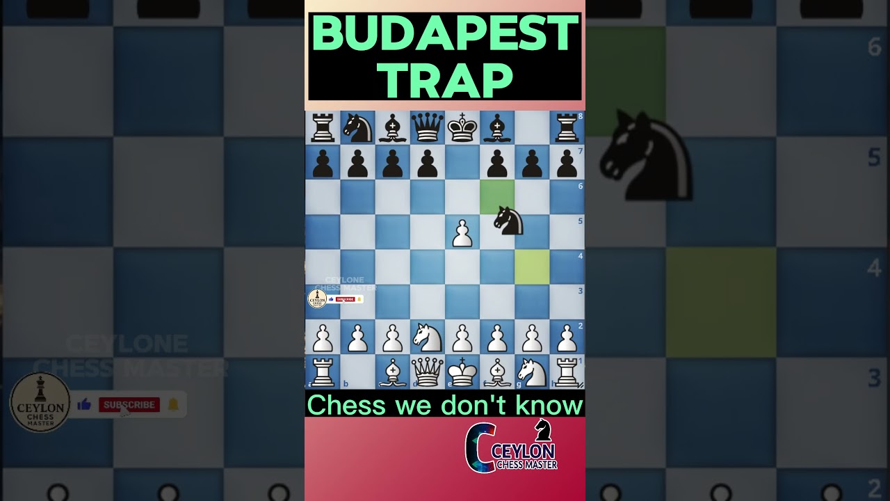 Budapest Trap: Best Way to Win Fast!
