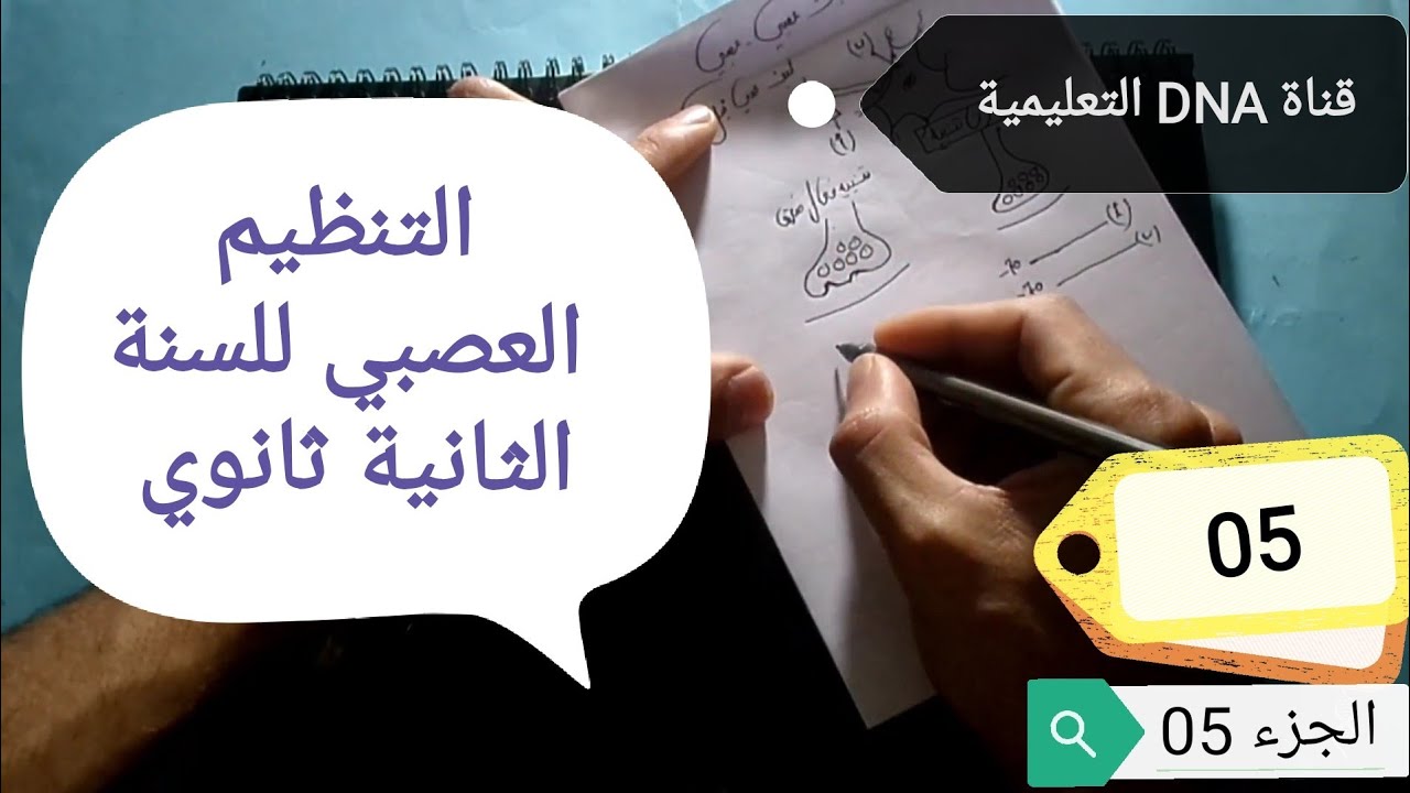 التنظيم العصبي 2 ثانوي