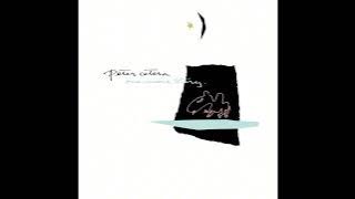Peter Cetera - One More Story (Full Album, 1988)