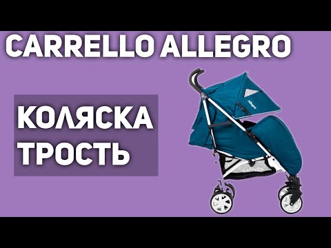 Прогулочная коляска CARRELLO Allegro CRL-10101 (трость)