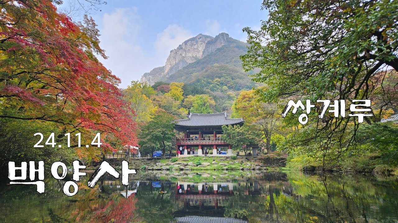 [전남 장성] 🍁백양사 단풍 상황/쌍계루와 백학봉의 조화👍🏻 - YouTube