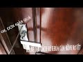 Hướng dẫn cách mở khóa cửa khi bị mất chìa khóa hoặc bị chốt trong cực nhanh trong một nốt nhạc