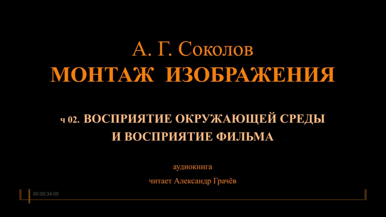 Соколов. МОНТАЖ. Аудиокнига. Ч 02. ВОСПРИЯТИЕ ОКРУЖАЮЩЕЙ СРЕДЫ И.