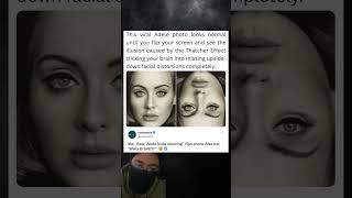 This viral Adele photo looks normal until you flip your screen and see the illusion.