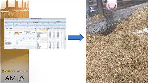 Daniel Scothorn on what is most Challenging in balancing rations