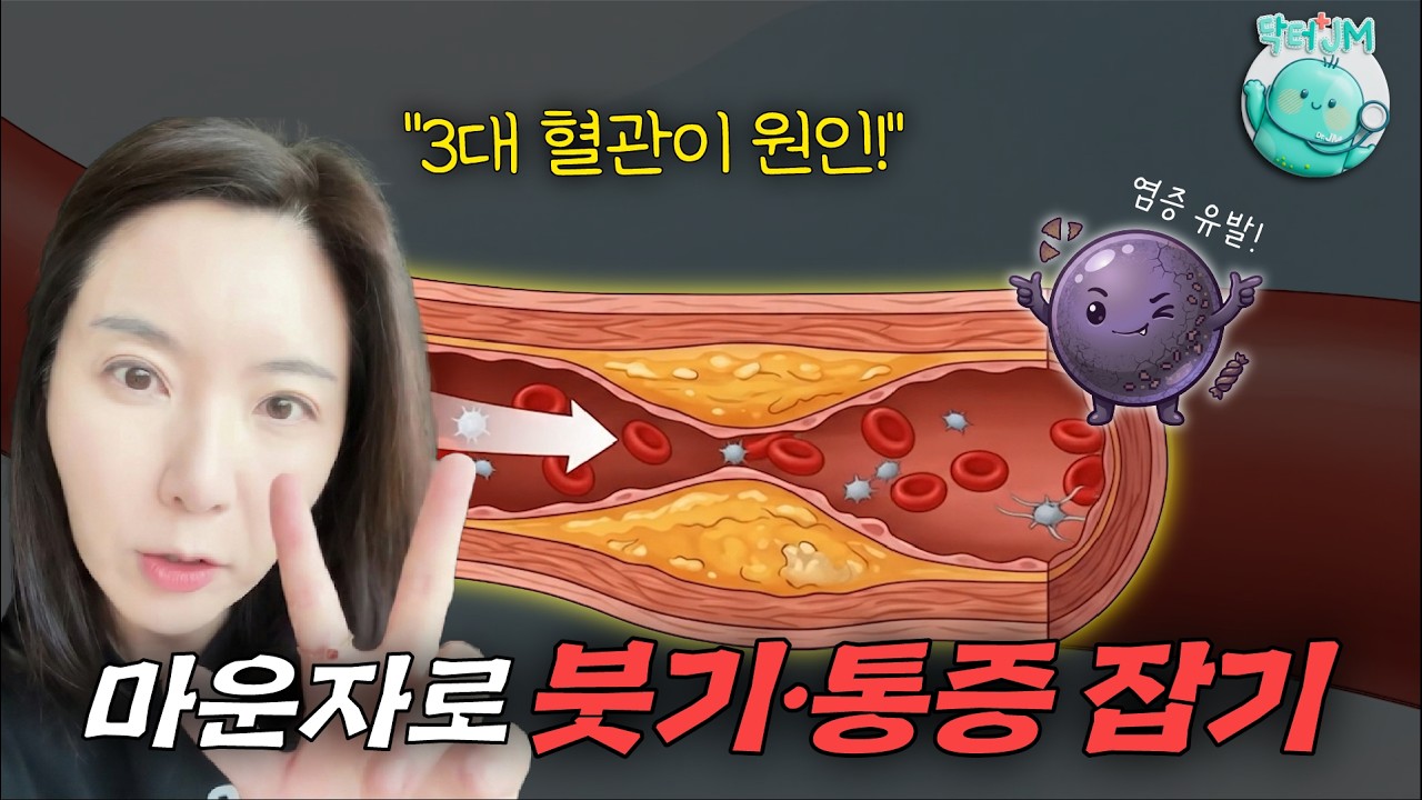 마운자로 다이어트 중 붓고 통증이 생기는 이유❓ㅣ모르면 후회하는 '3대 혈관' 순환법